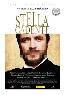 Poster Stella cadente