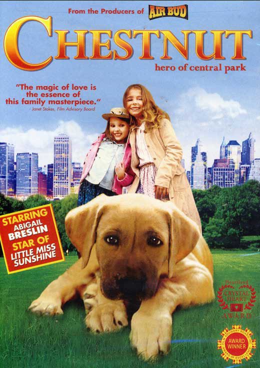 Poster of Chestnut: Hero of Central Park - Estados Unidos