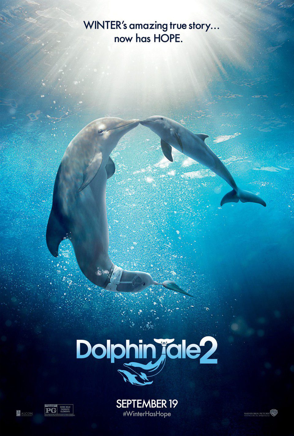 Poster of Dolphin Tale 2 - EEUU