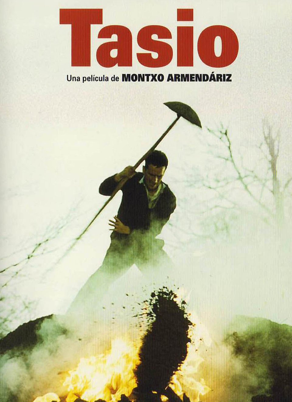 Poster of Tasio - España