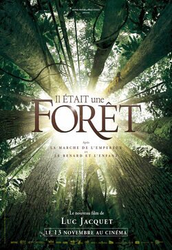 Poster Once Upon A Forest