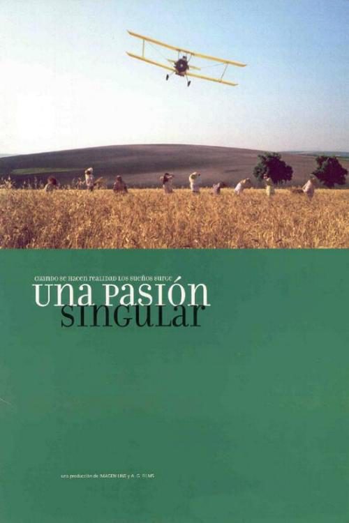 Poster of Una pasión singular - España
