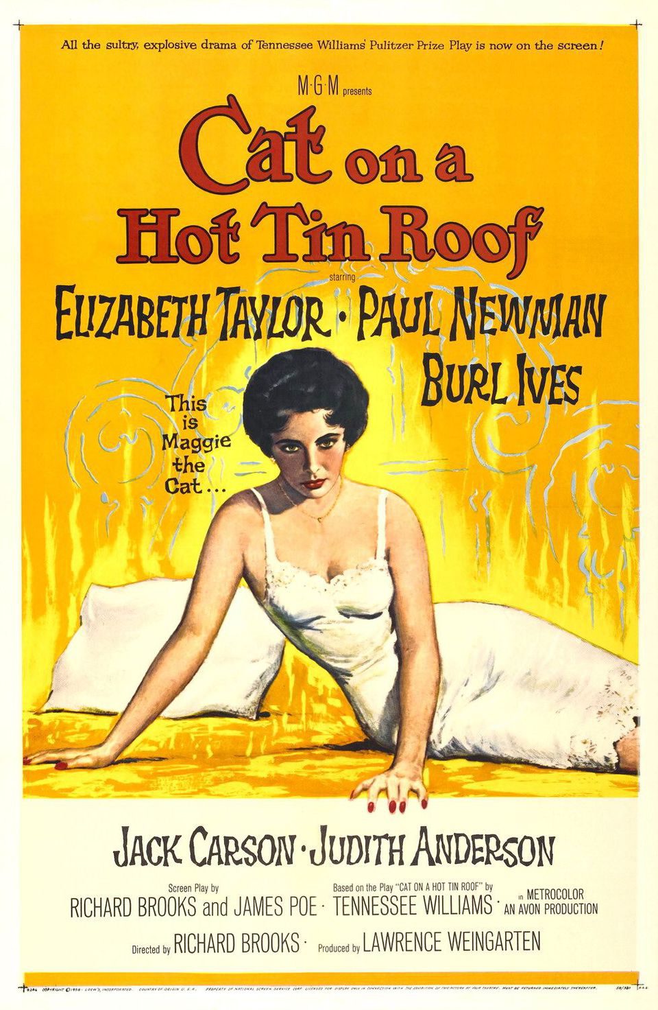 Poster of Cat on a Hot Tin Roof - Estados Unidos
