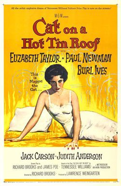 Poster Cat on a Hot Tin Roof