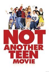 Not Another Teen Movie