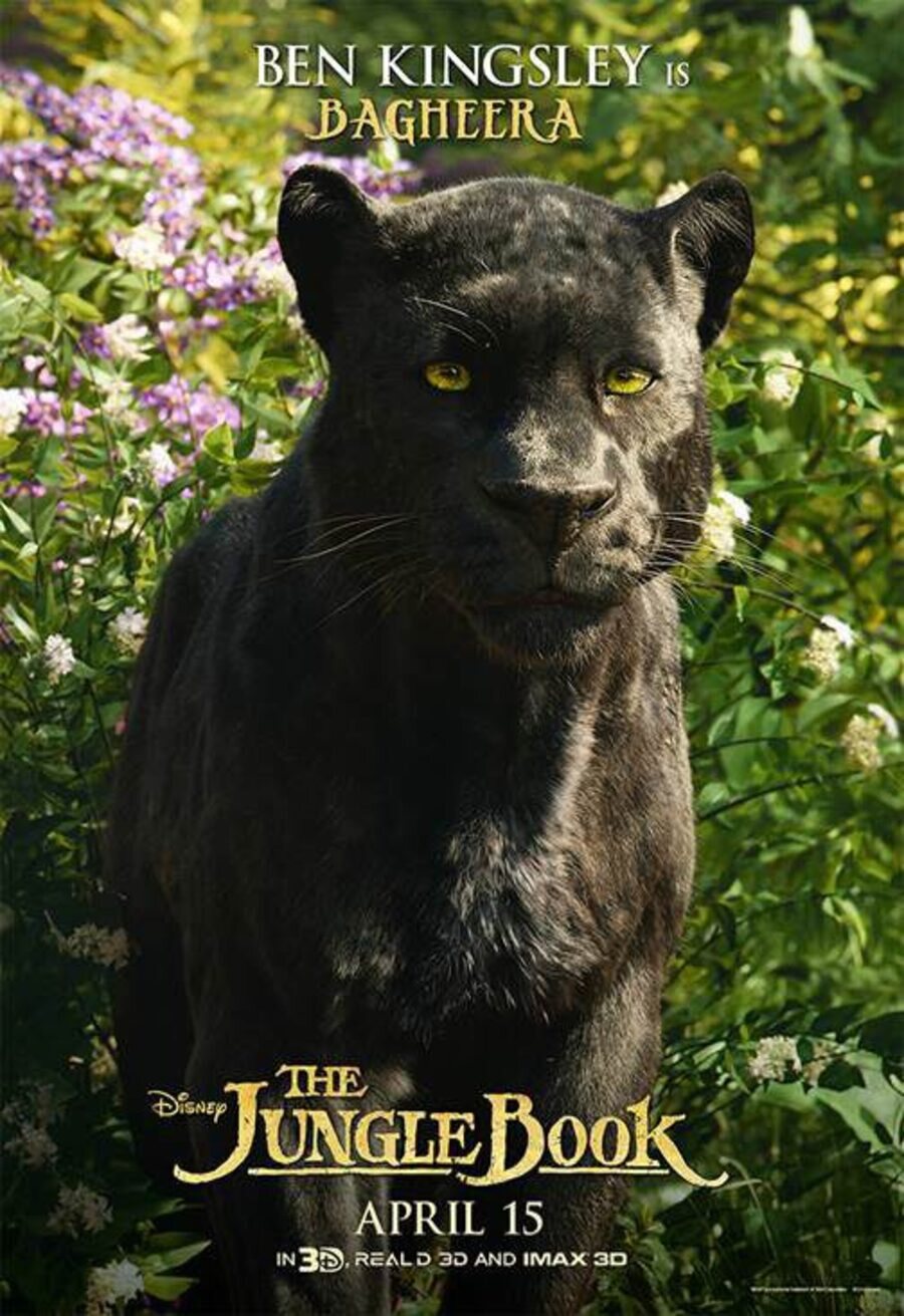 Poster of The Jungle Book - Bagheera