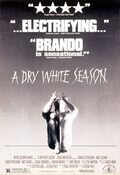 Poster A Dry White Season