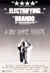 A Dry White Season