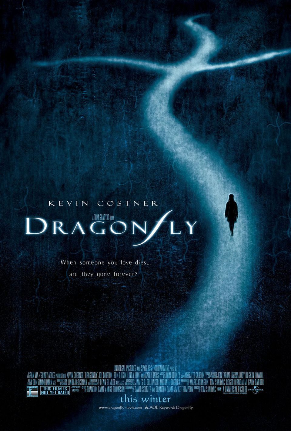 Poster of Dragonfly - Estados Unidos