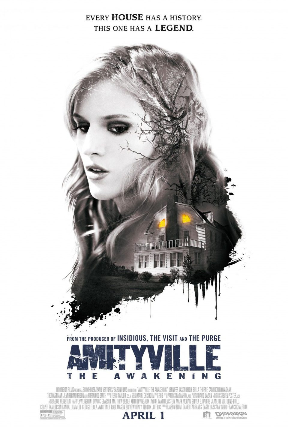 Poster of Amityville: The Awakening - EE.UU.