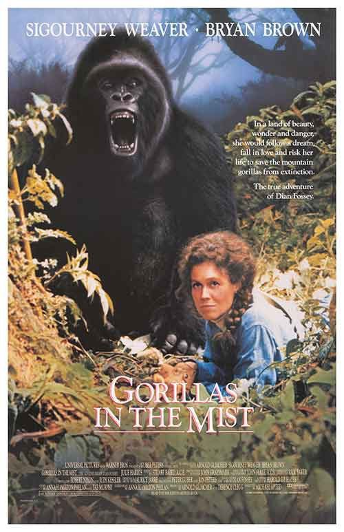 Poster of Gorillas in the Mist - Estados Unidos