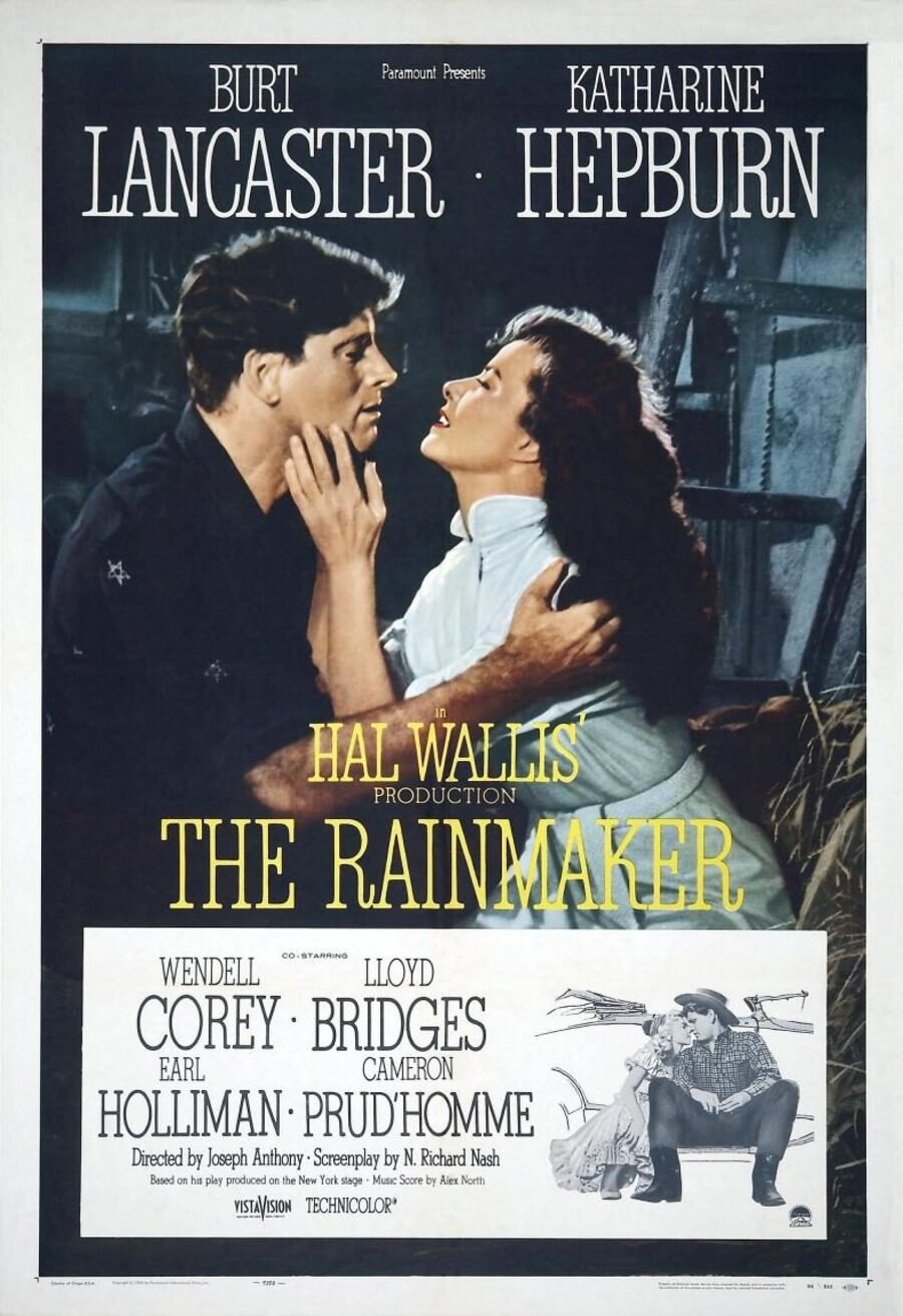 Poster of The Rainmaker - Estados Unidos