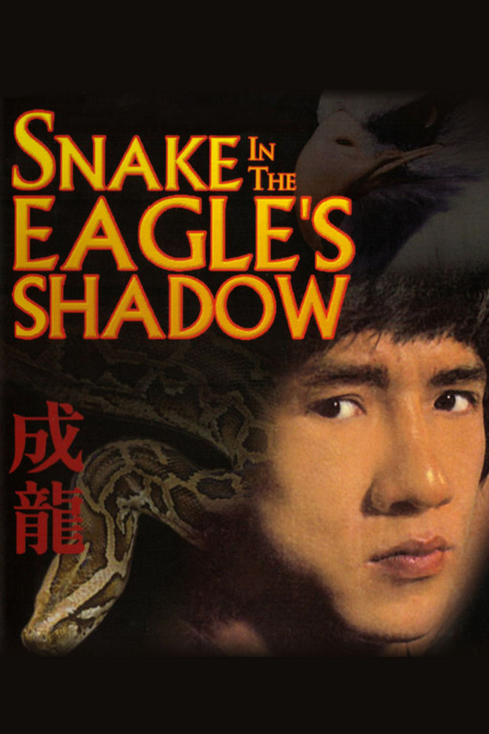 Poster of Snake in the Eagle's Shadow - Estados Unidos
