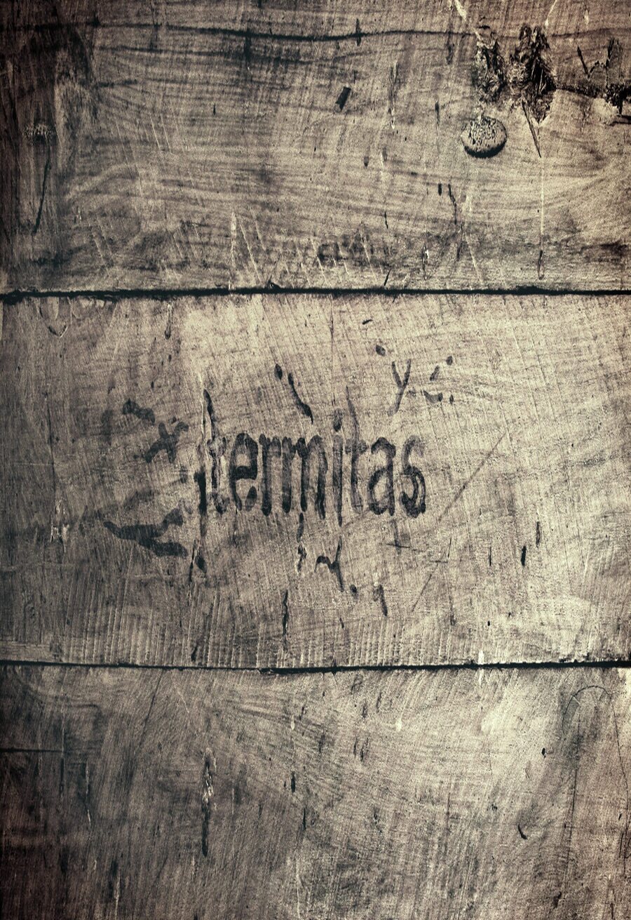 Poster of Termitas - España