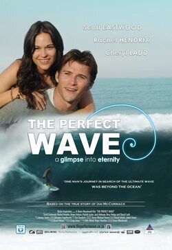 Poster The Perfect Wave