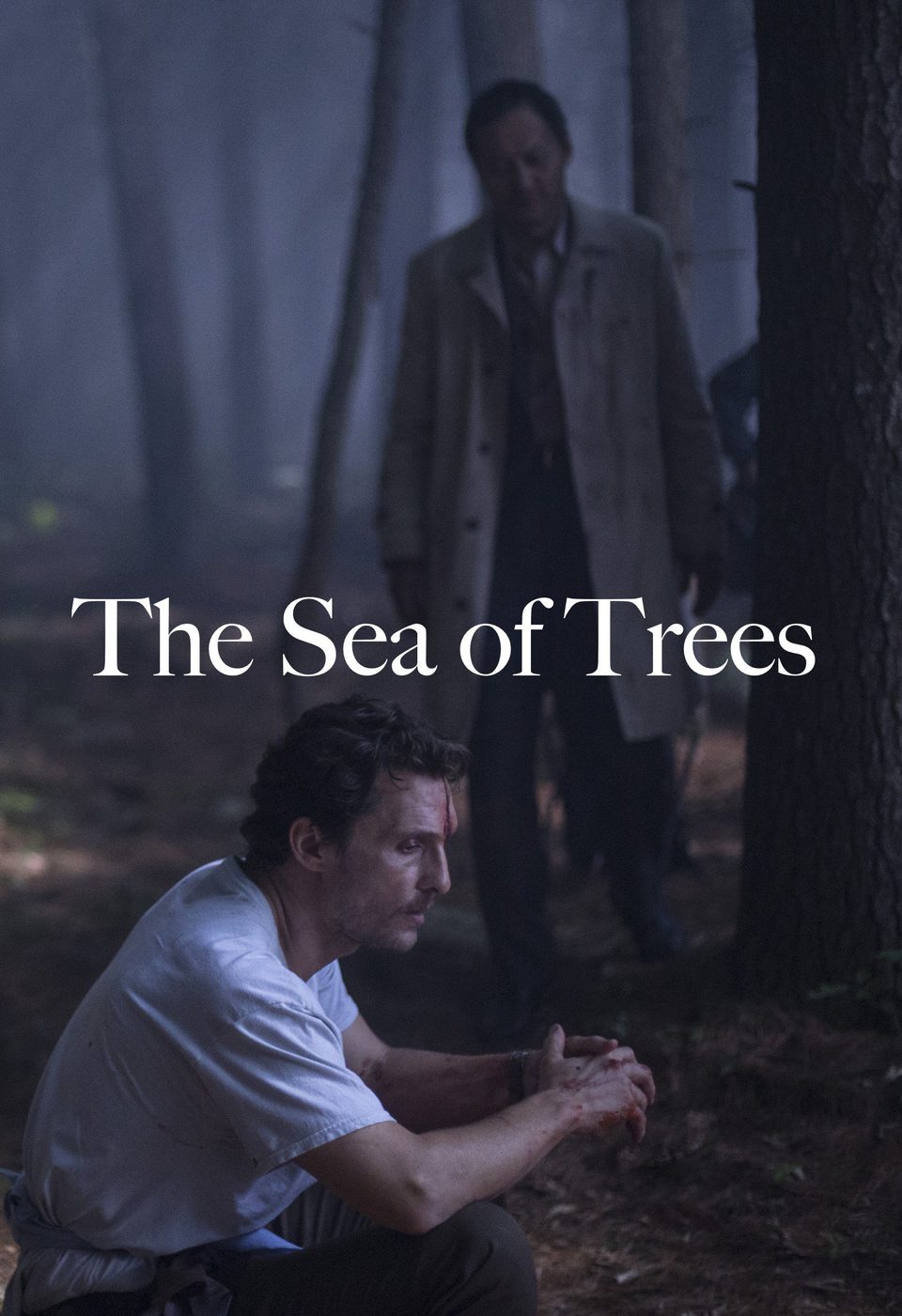 Poster of The Sea of Trees - 'The Sea of Trees'