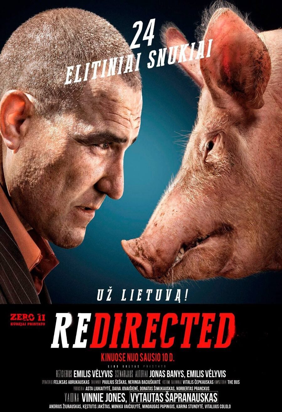 Poster of Redirected - Lituania