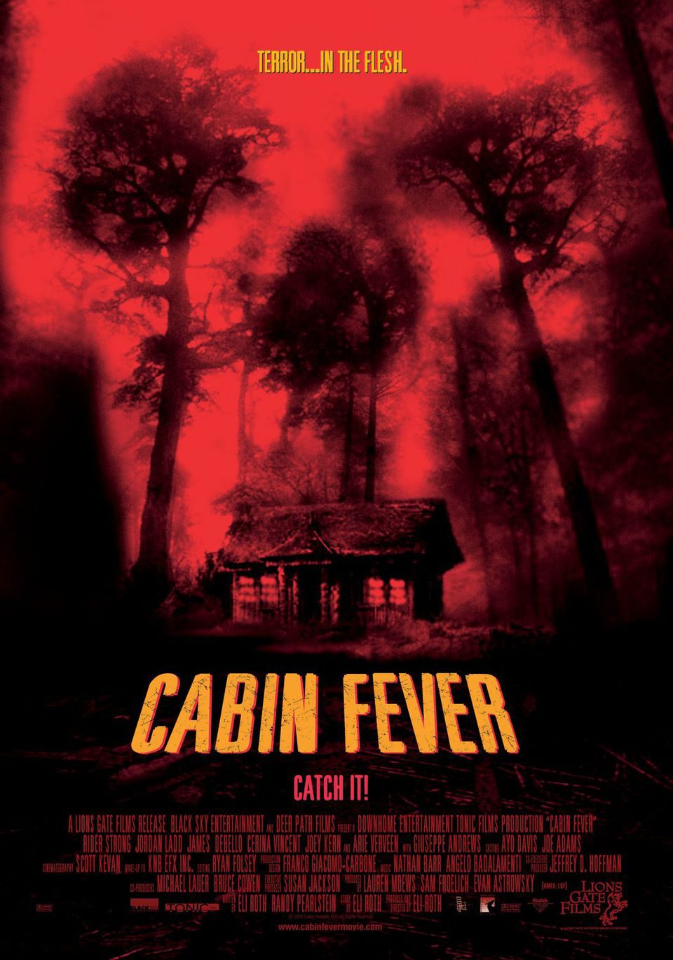 Poster of Cabin Fever - Estados Unidos