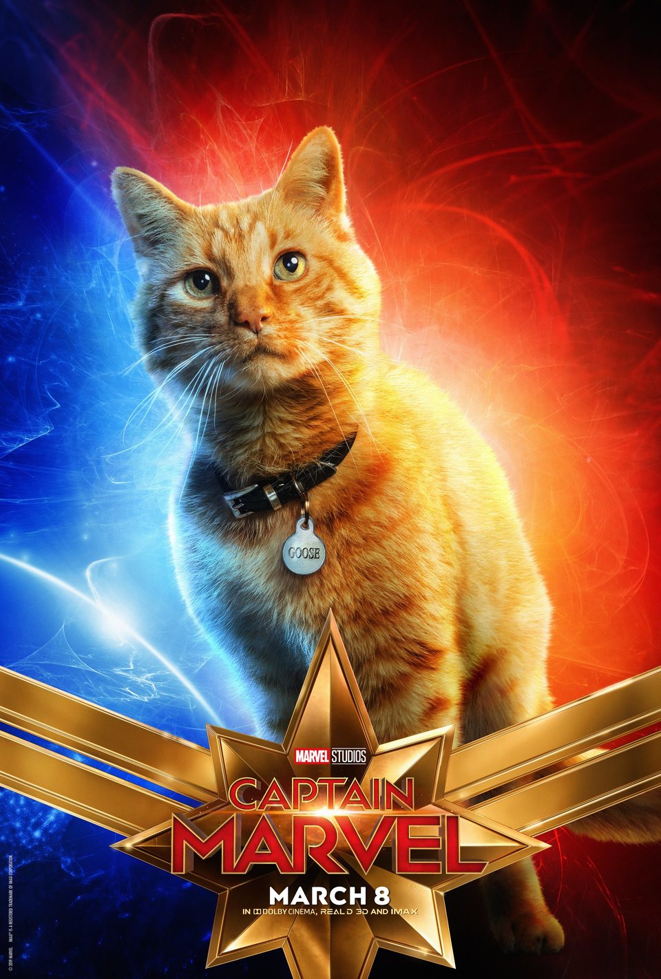 Poster of Captain Marvel - EE.UU #7