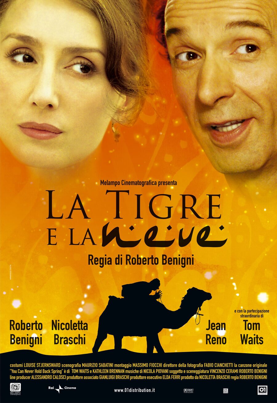 Poster of The Tiger and the Snow - Estados Unidos