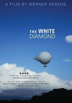 Poster The White Diamond