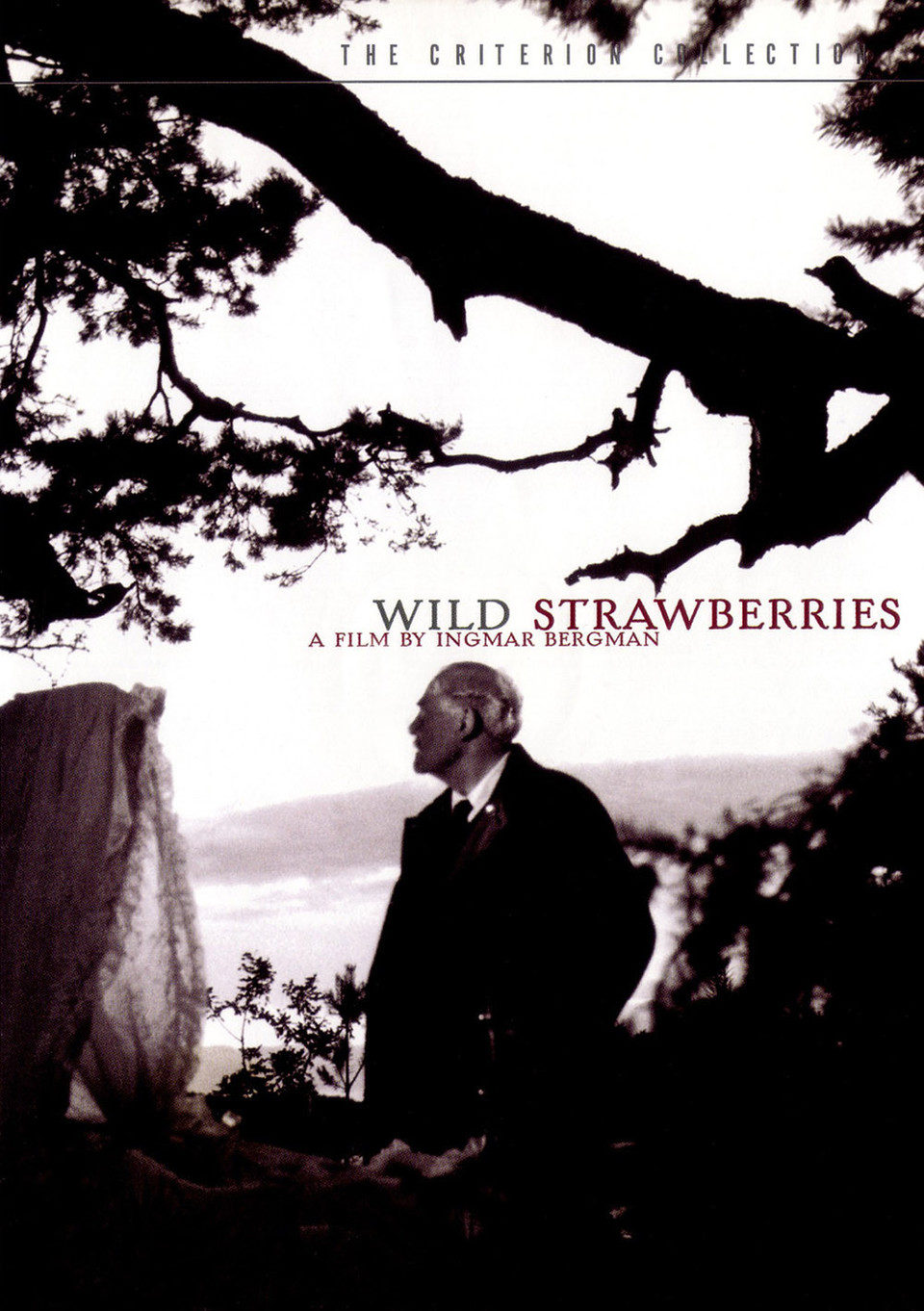 Poster of Wild Strawberries - EEUU