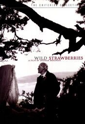 Wild Strawberries