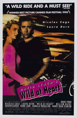 Poster Wild at heart