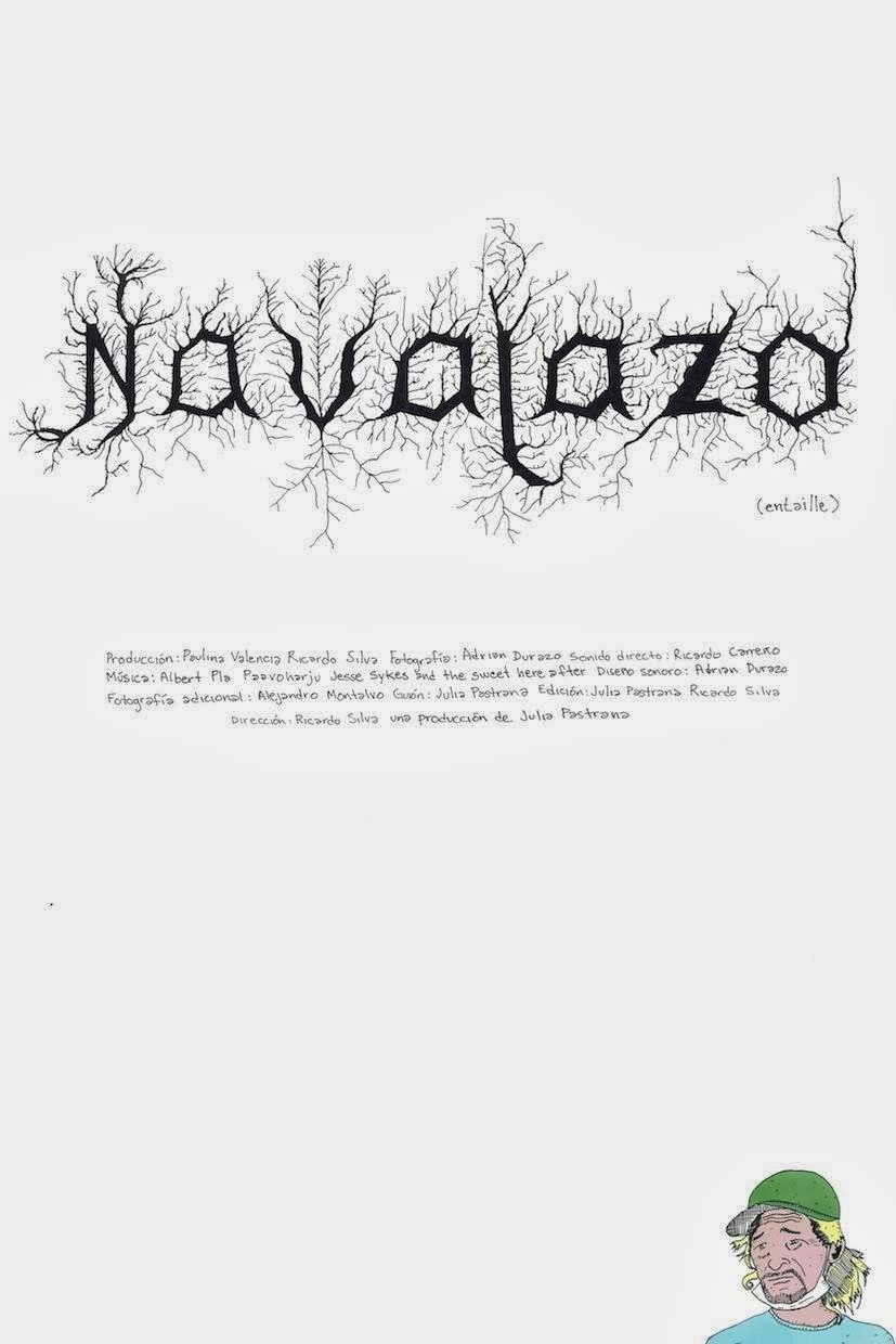 Poster of Navajazo - México