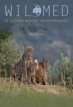 Poster Wilmed, el último bosque mediterráneo