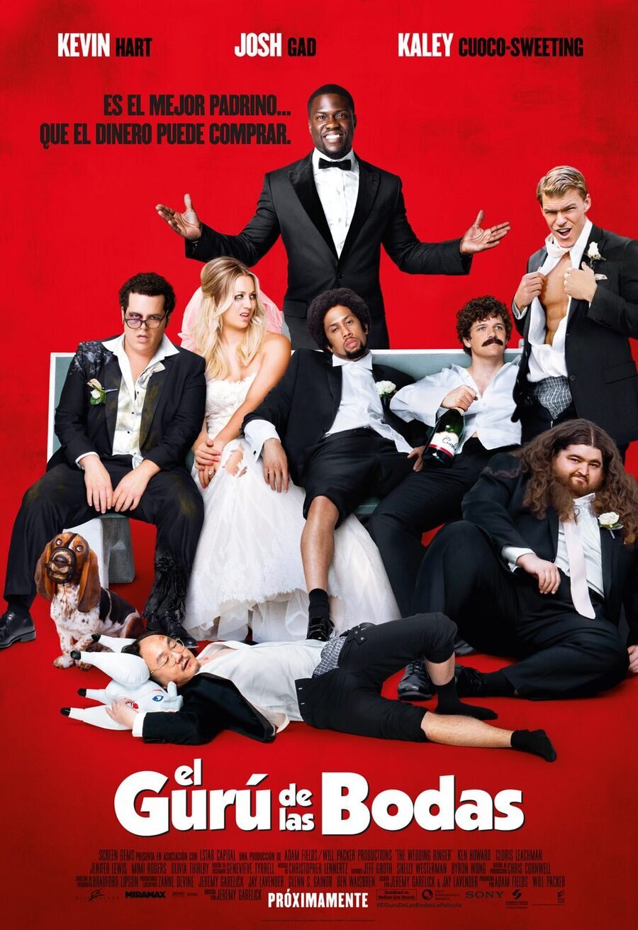Poster of The Wedding Ringer - España