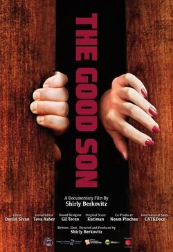 Poster The Good Son