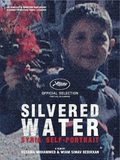 Silvered Water (Syria Self-Portrait)