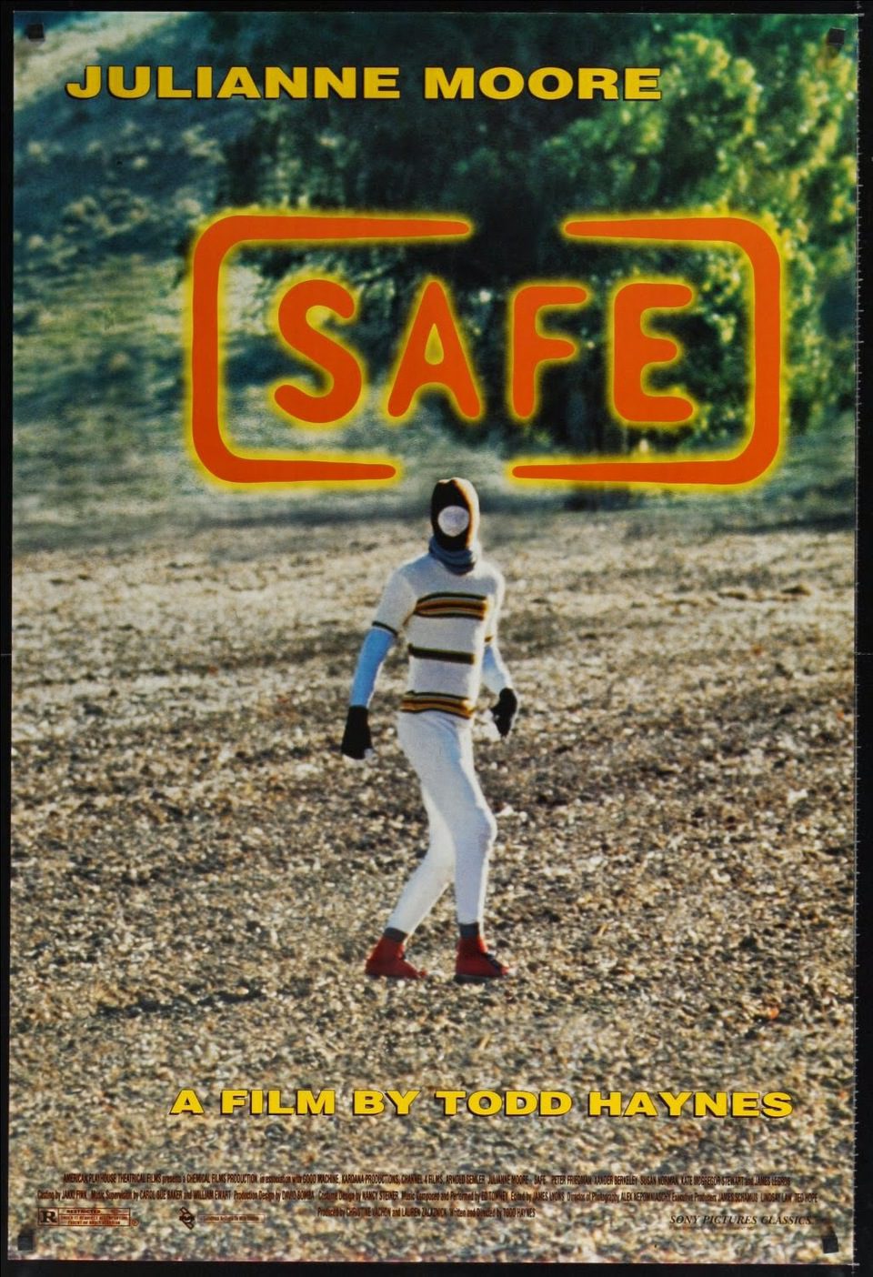 Poster of Safe - EEUU