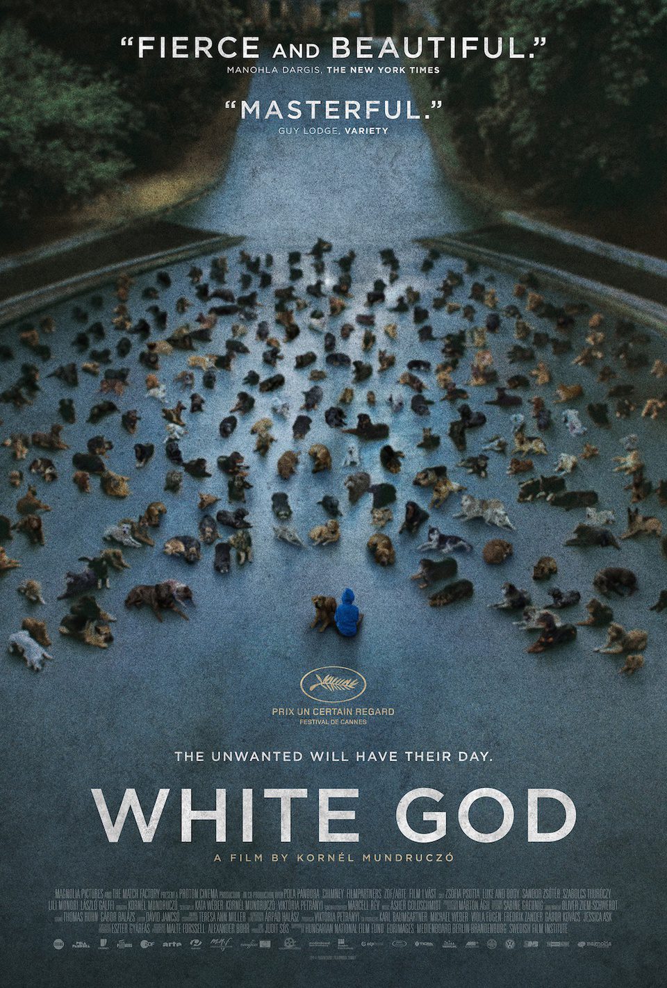 Poster of White God - Hungría