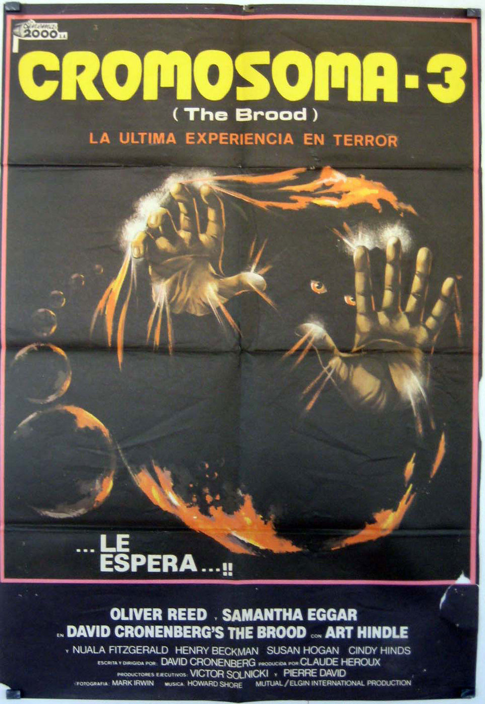 Poster of The Brood - España