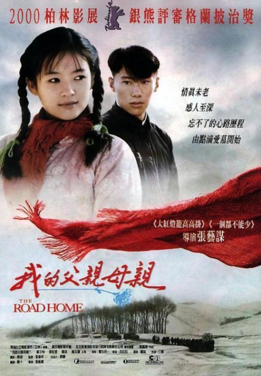 Poster of The Road Home - China