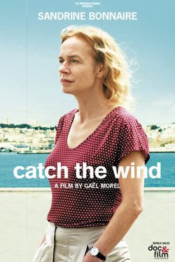Poster Catch the Wind