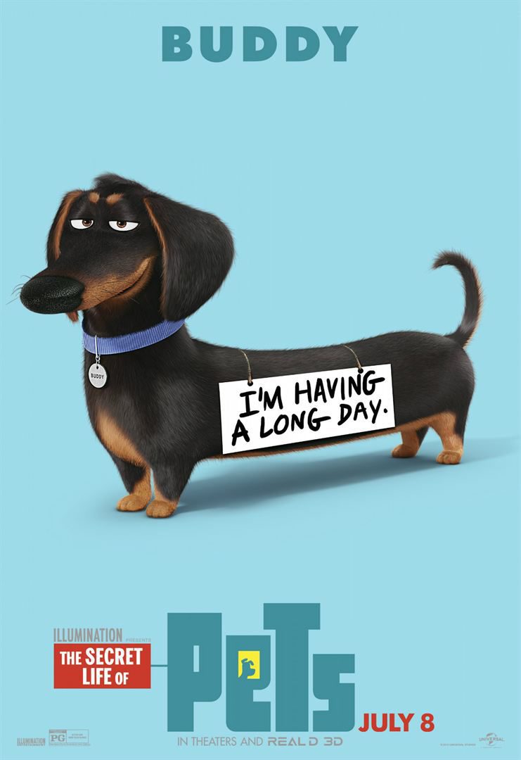 Poster of The Secret Life of Pets - Buddy