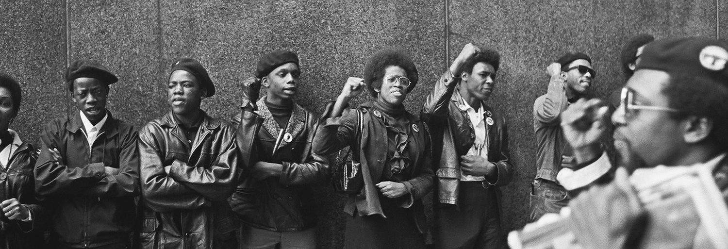 The Black Panthers: Vanguard Of The Revolution