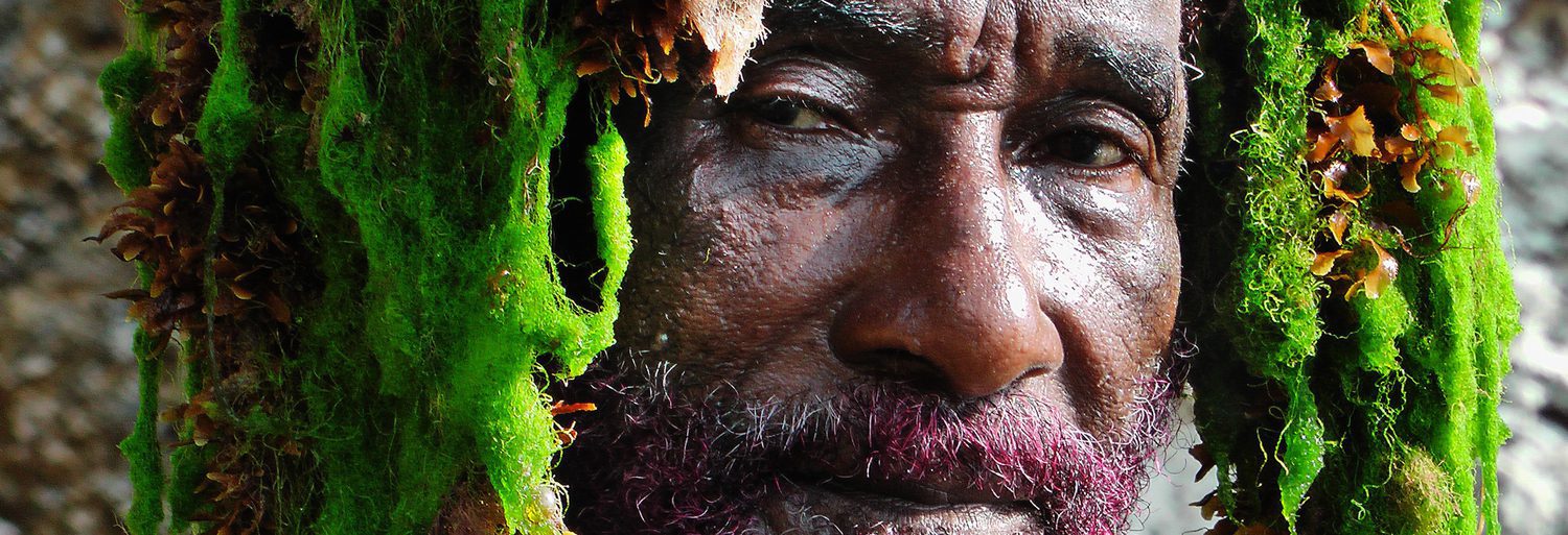 Lee Scratch Perry's Vision of Paradise