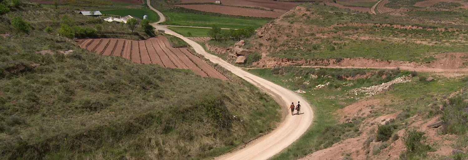 Walking the Camino: Six Ways to Santiago