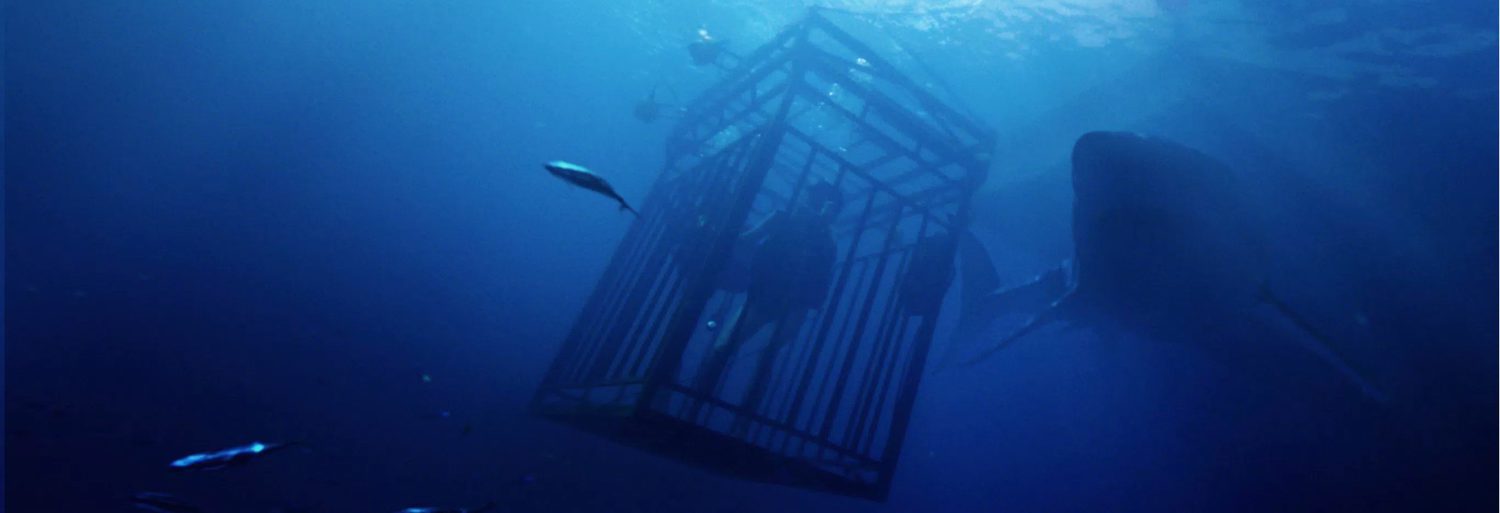 47 Meters Down