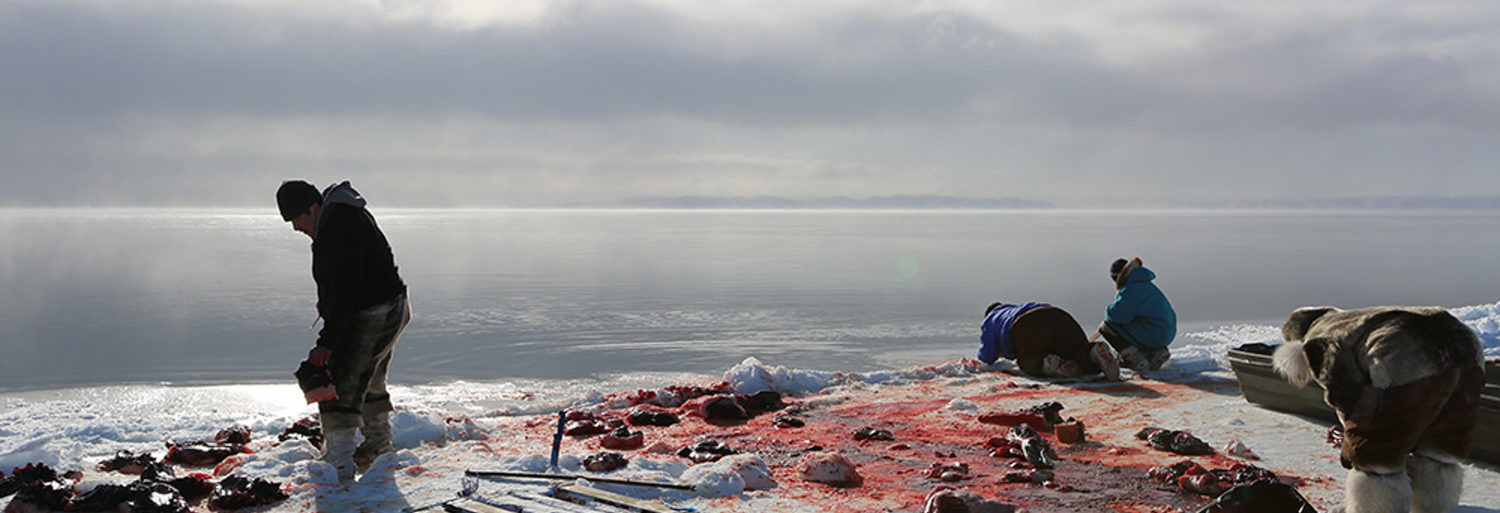 Angry inuk