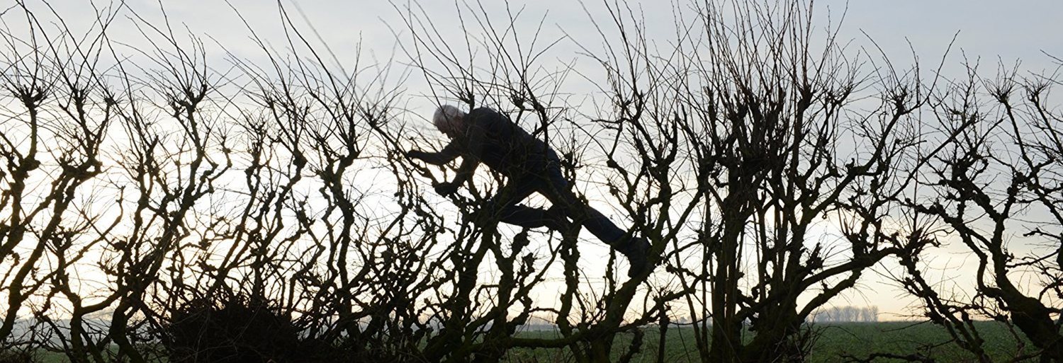 Leaning Into the Wind: Andy Goldsworthy