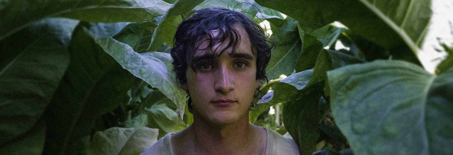 Happy as Lazzaro