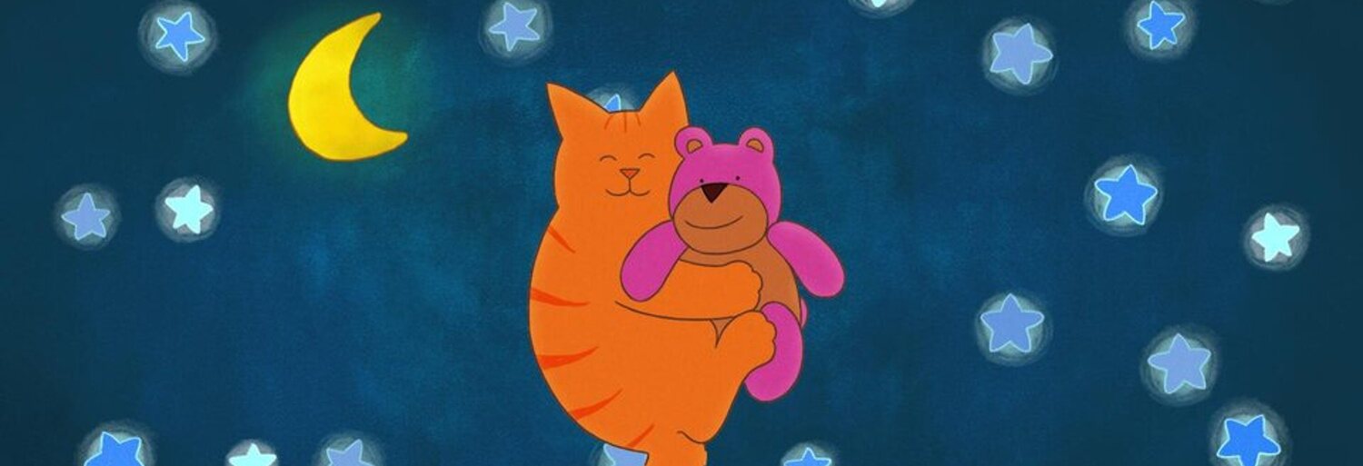 Tummy Tom and the Lost Teddy Bear