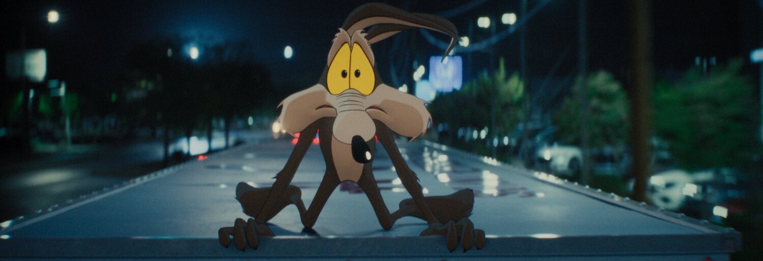 Coyote vs. Acme