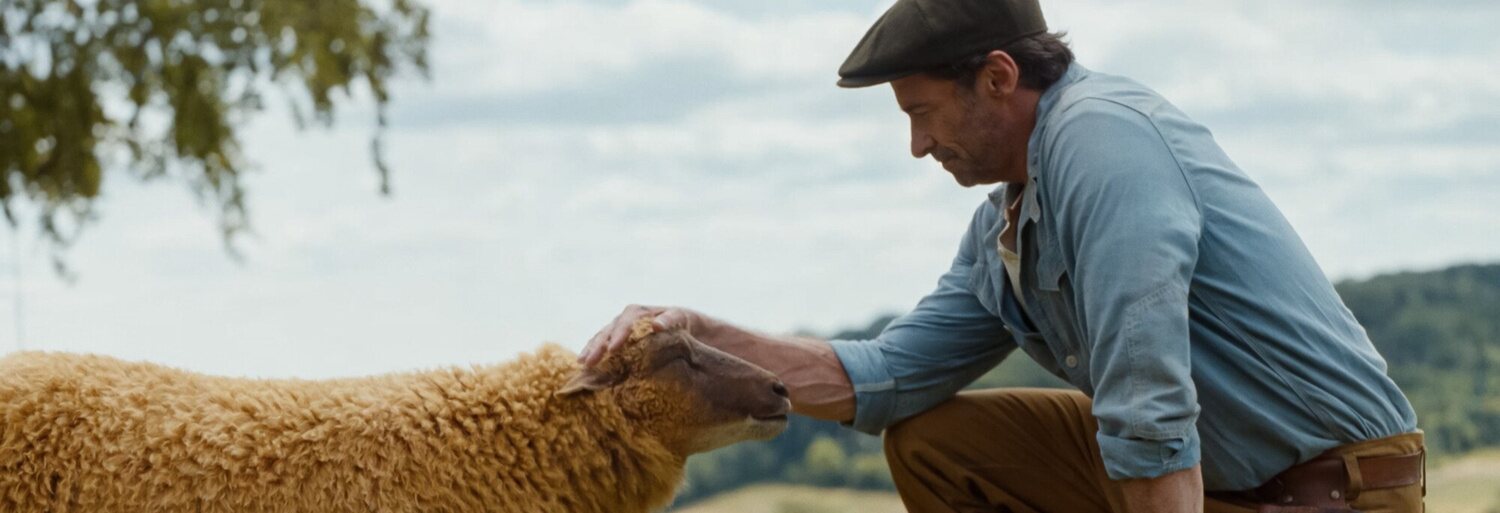 The Sheep Detectives