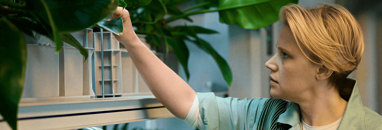 In the Blink of an Eye